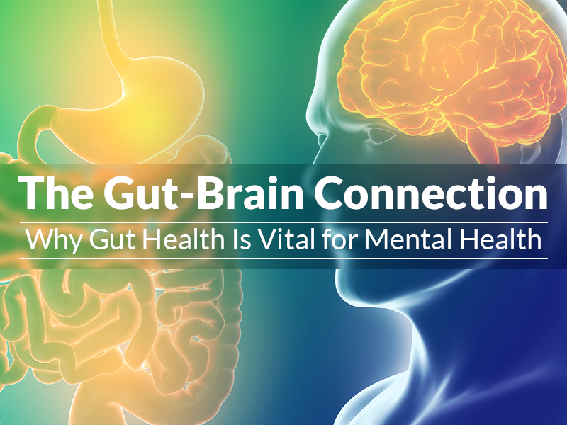 Gut brain connection health biotrust